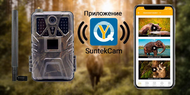 Фотоловушки