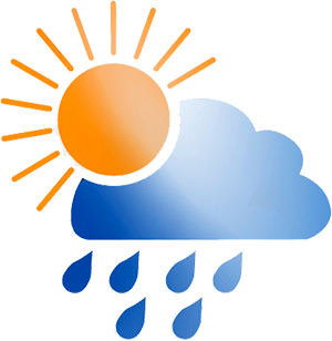 Устойчивость к погодным условиям Разная погода